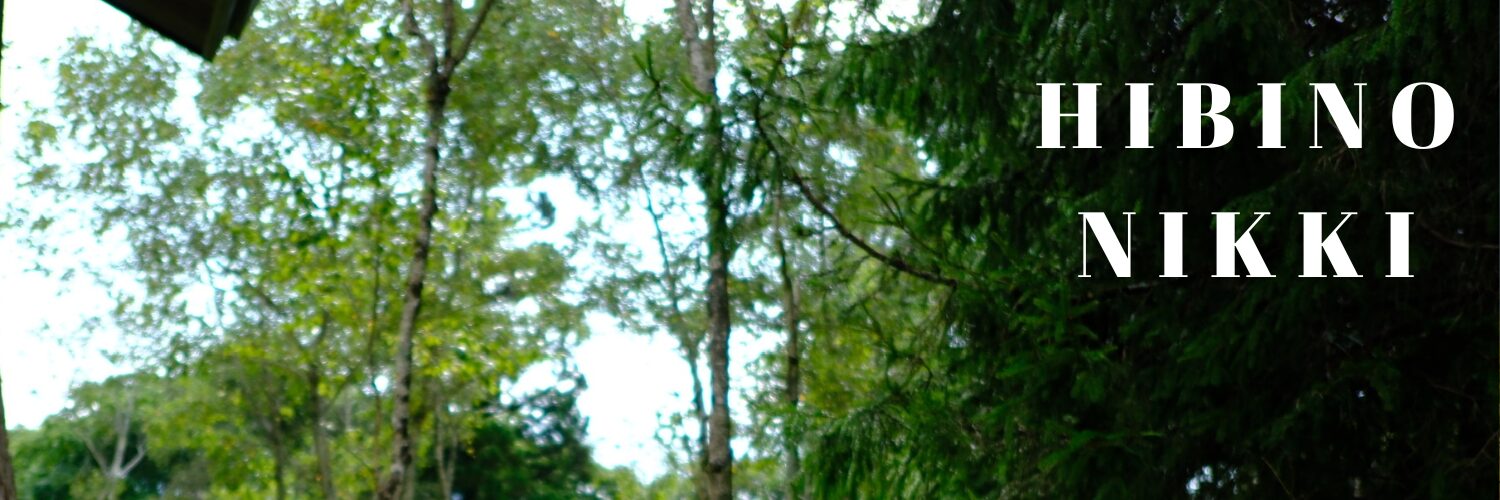 ひびの日記-暮らし、散歩、車窓からの景色、おやつ、お土産、FUJIFILMで撮った写真で綴る、日記のブログ