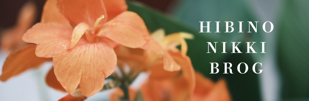 HIBINO NIKKI BROG｜散歩・ライフスタイル・車窓からの景色