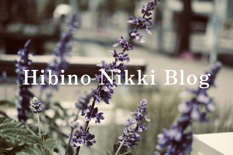 HIBINO NIKKI BLOG ｜日々の日記ブログ